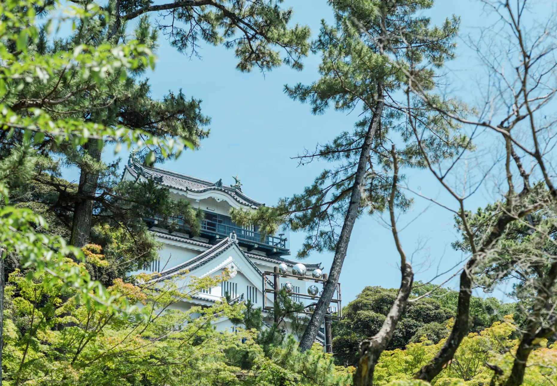 岡崎城／岡崎公園