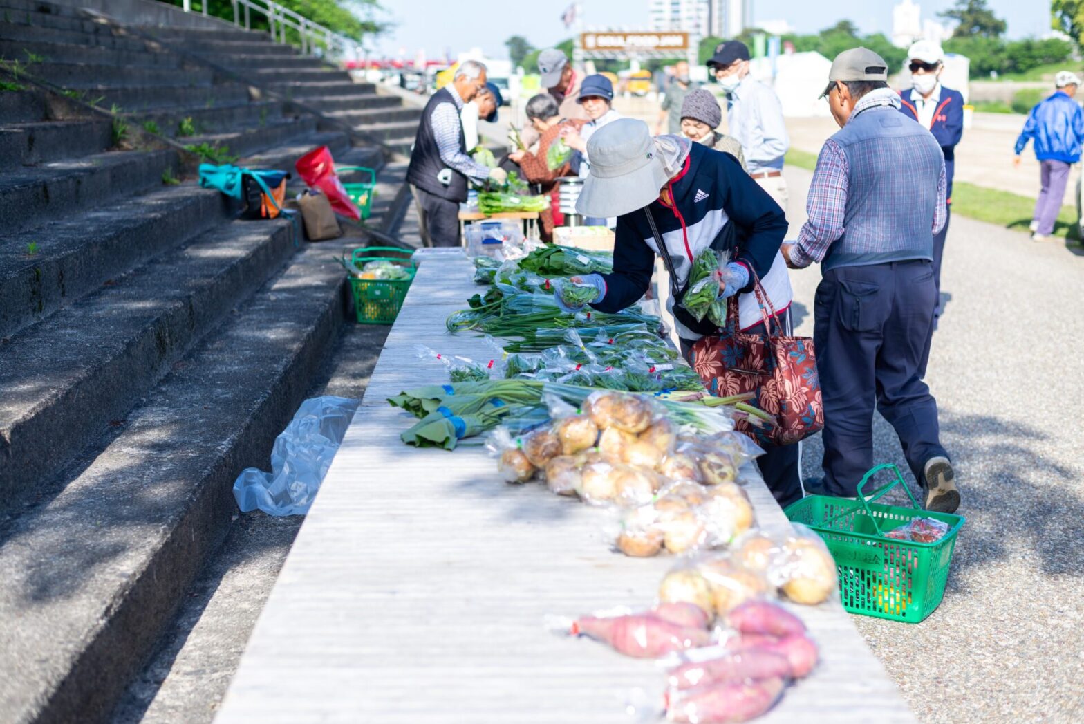 【8.15開催】新鮮野菜の朝市